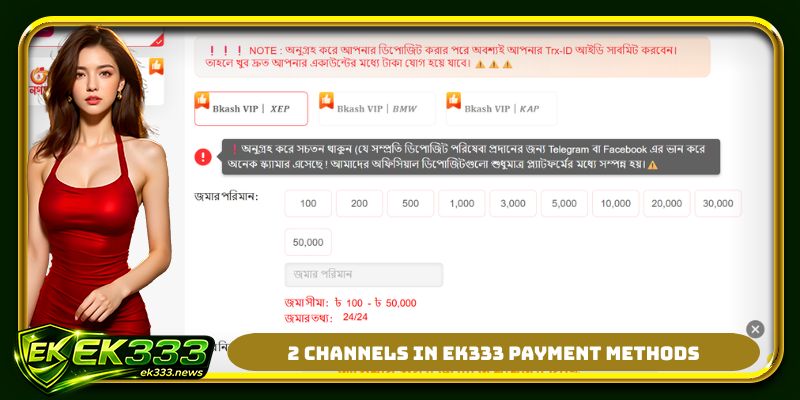 2 channels in EK333 payment methods