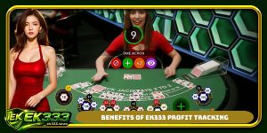 Benefits of EK333 profit tracking