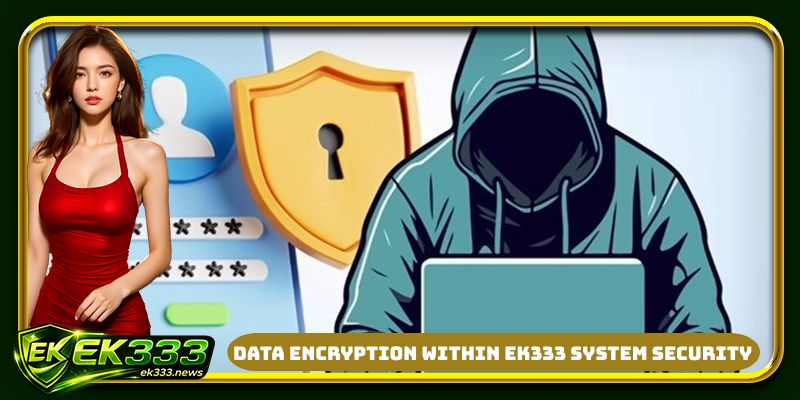 Data encryption within the EK333 system security