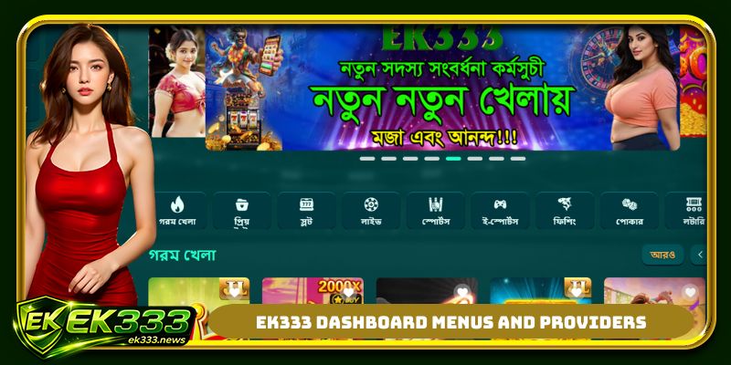 EK333 dashboard menus and providers