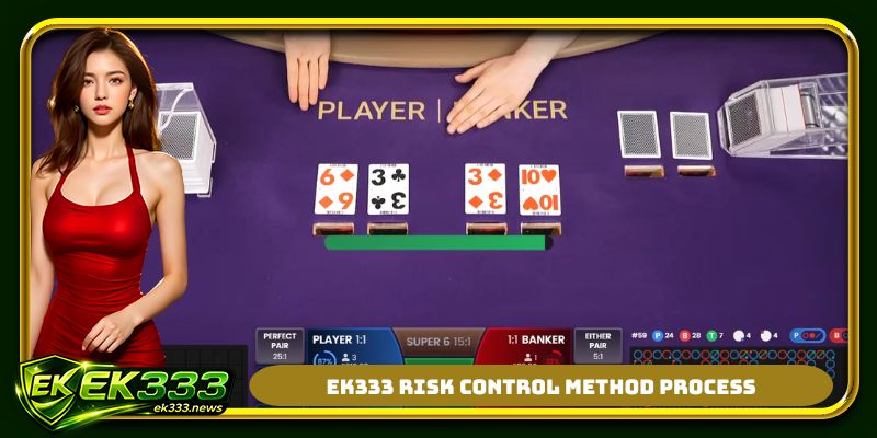 EK333 risk control method process