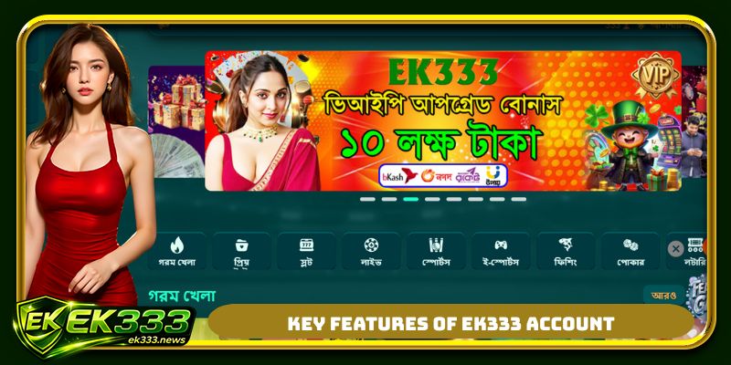 Key features of EK333 account