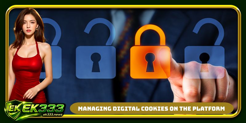 Managing digital cookies on the platform