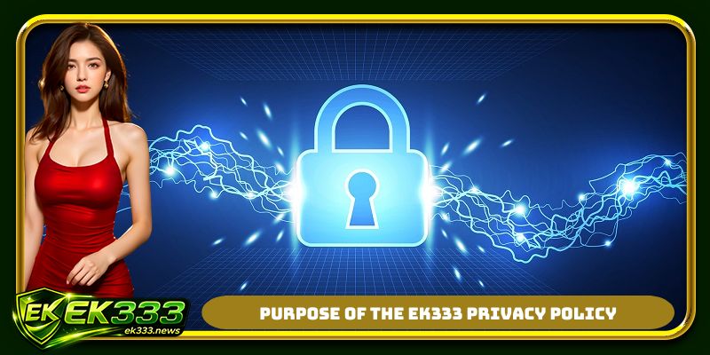 Purpose of the EK333 privacy policy