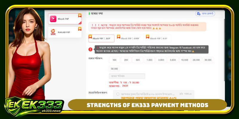 Strengths of EK333 payment methods
