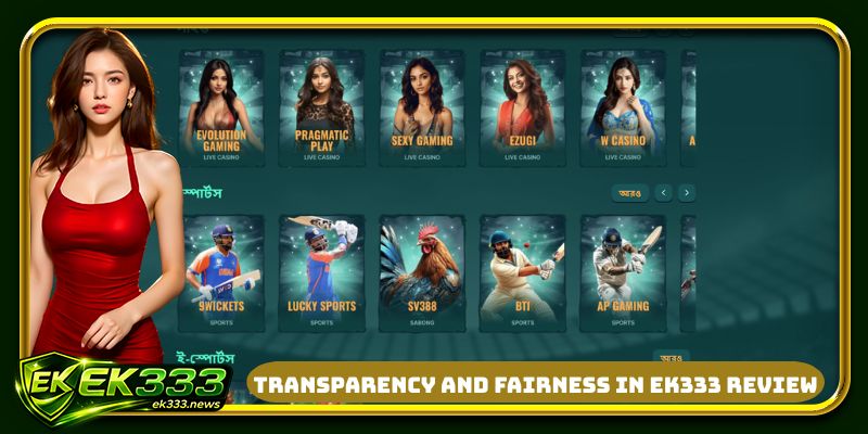 Transparency and fairness in EK333 review
