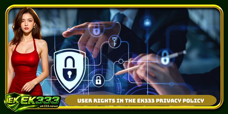 User rights in the EK333 privacy policy